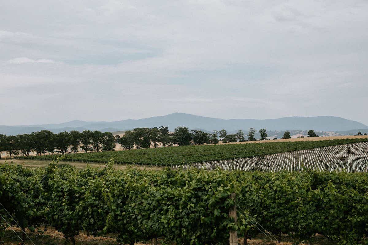 Helicopter winery tour to Zonzo Estate Yarra Valley