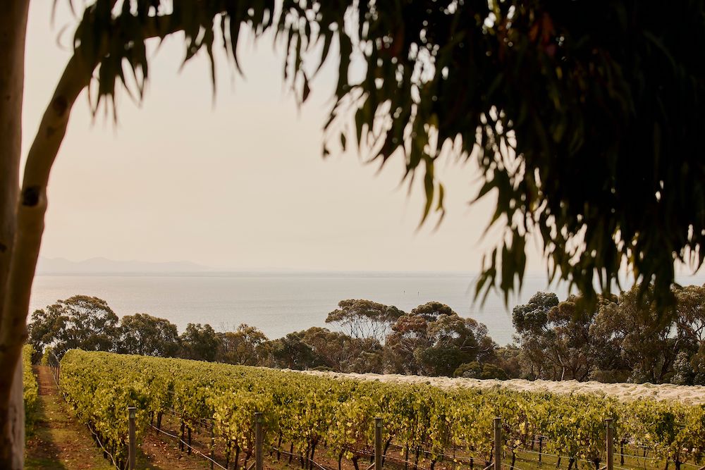 Bellarine Peninsula Winery Tour to Terindah Estate for two